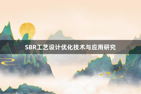 SBR工艺设计优化技术与应用研究